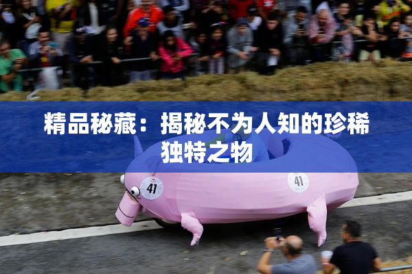 精品秘藏：揭秘不为人知的珍稀独特之物