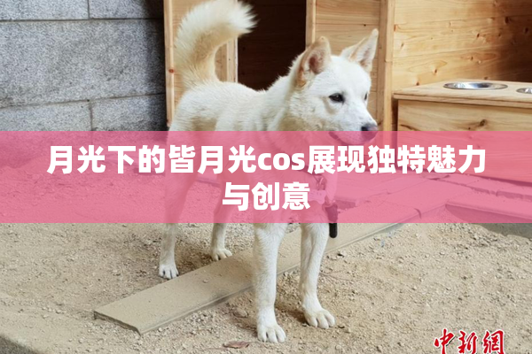 月光下的皆月光cos展现独特魅力与创意