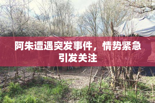 阿朱遭遇突发事件，情势紧急引发关注