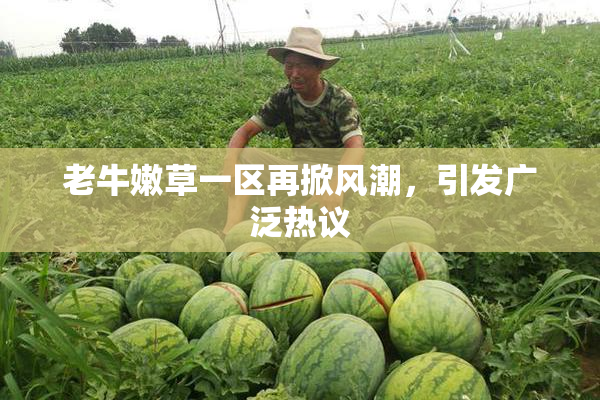 老牛嫩草一区再掀风潮，引发广泛热议