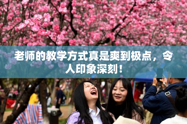 老师的教学方式真是爽到极点，令人印象深刻！