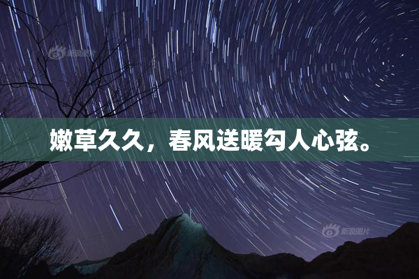 嫩草久久，春风送暖勾人心弦。
