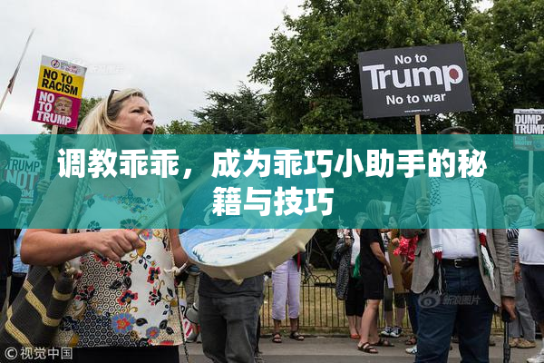 调教乖乖，成为乖巧小助手的秘籍与技巧