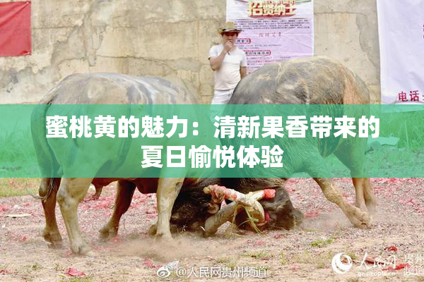 蜜桃黄的魅力：清新果香带来的夏日愉悦体验