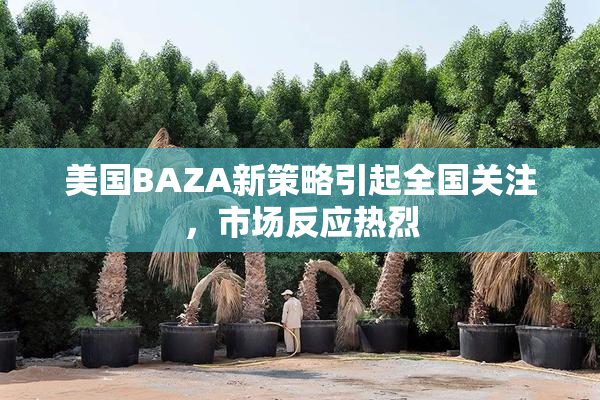 美国BAZA新策略引起全国关注，市场反应热烈