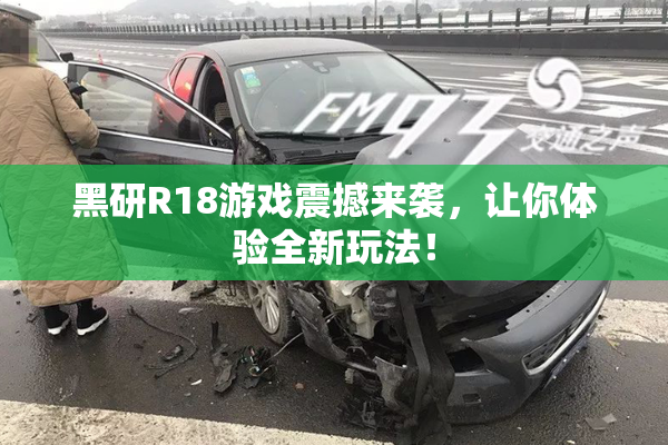 黑研R18游戏震撼来袭，让你体验全新玩法！