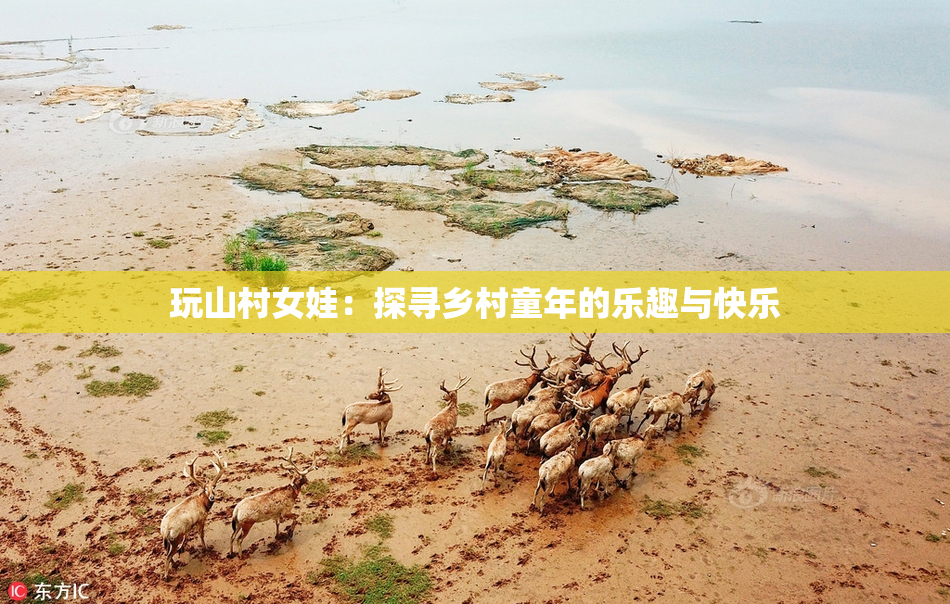 玩山村女娃：探寻乡村童年的乐趣与快乐