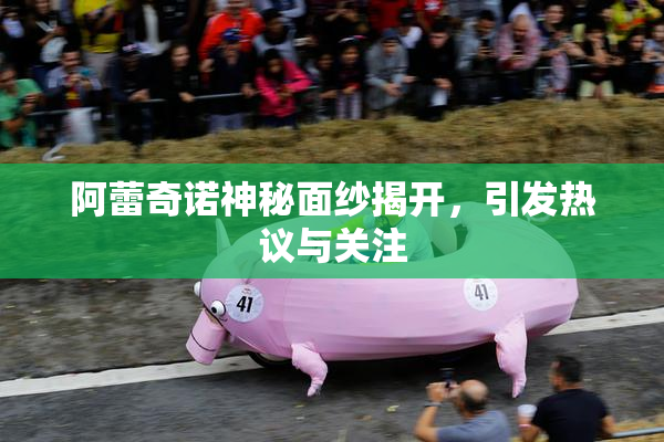阿蕾奇诺神秘面纱揭开，引发热议与关注