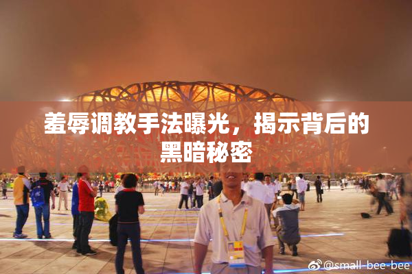羞辱调教手法曝光，揭示背后的黑暗秘密