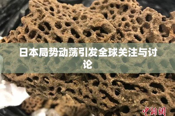 日本局势动荡引发全球关注与讨论