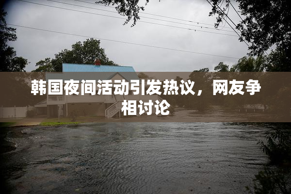 韩国夜间活动引发热议，网友争相讨论