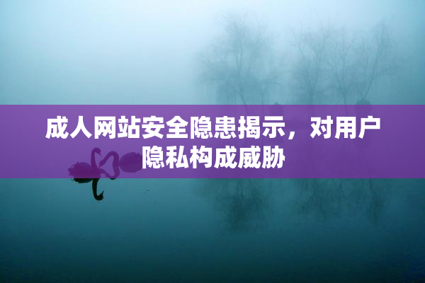 成人网站安全隐患揭示，对用户隐私构成威胁