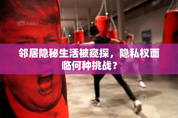 邻居隐秘生活被窥探，隐私权面临何种挑战？