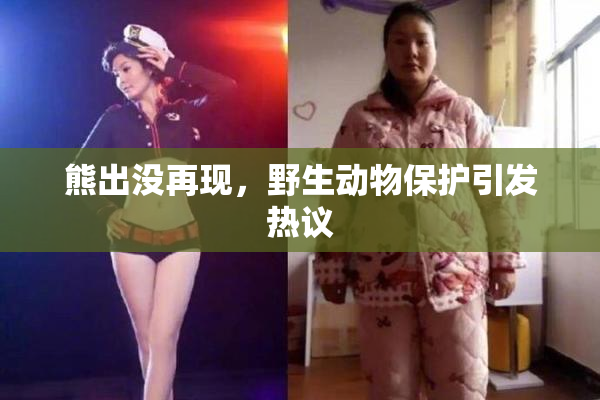 熊出没再现，野生动物保护引发热议