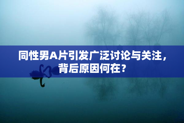 同性男A片引发广泛讨论与关注，背后原因何在？