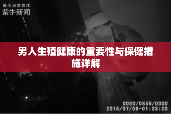 男人生殖健康的重要性与保健措施详解