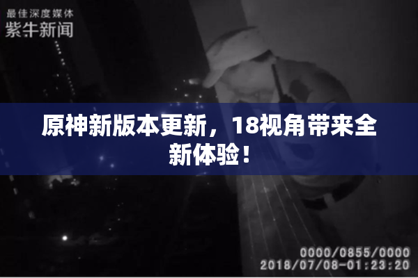 原神新版本更新，18视角带来全新体验！