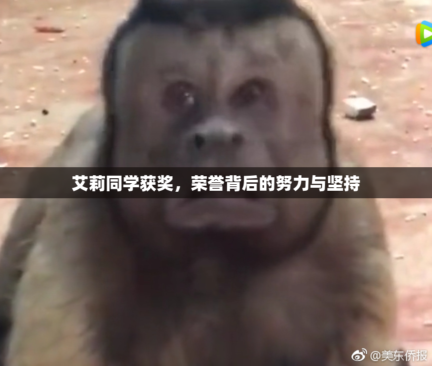 艾莉同学获奖，荣誉背后的努力与坚持