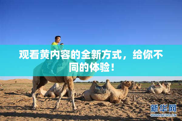 观看黄内容的全新方式，给你不同的体验！
