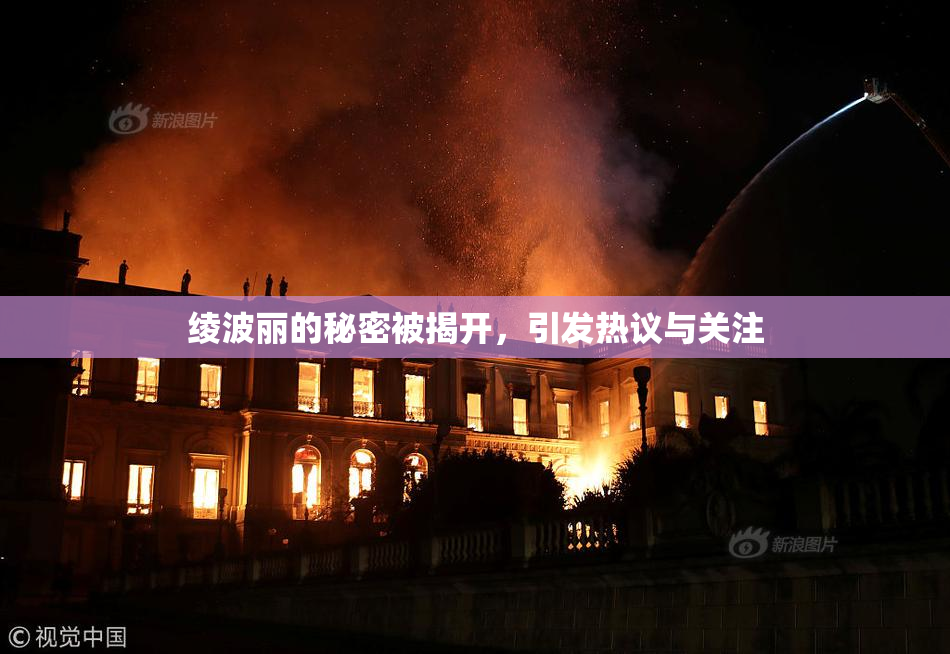绫波丽的秘密被揭开，引发热议与关注