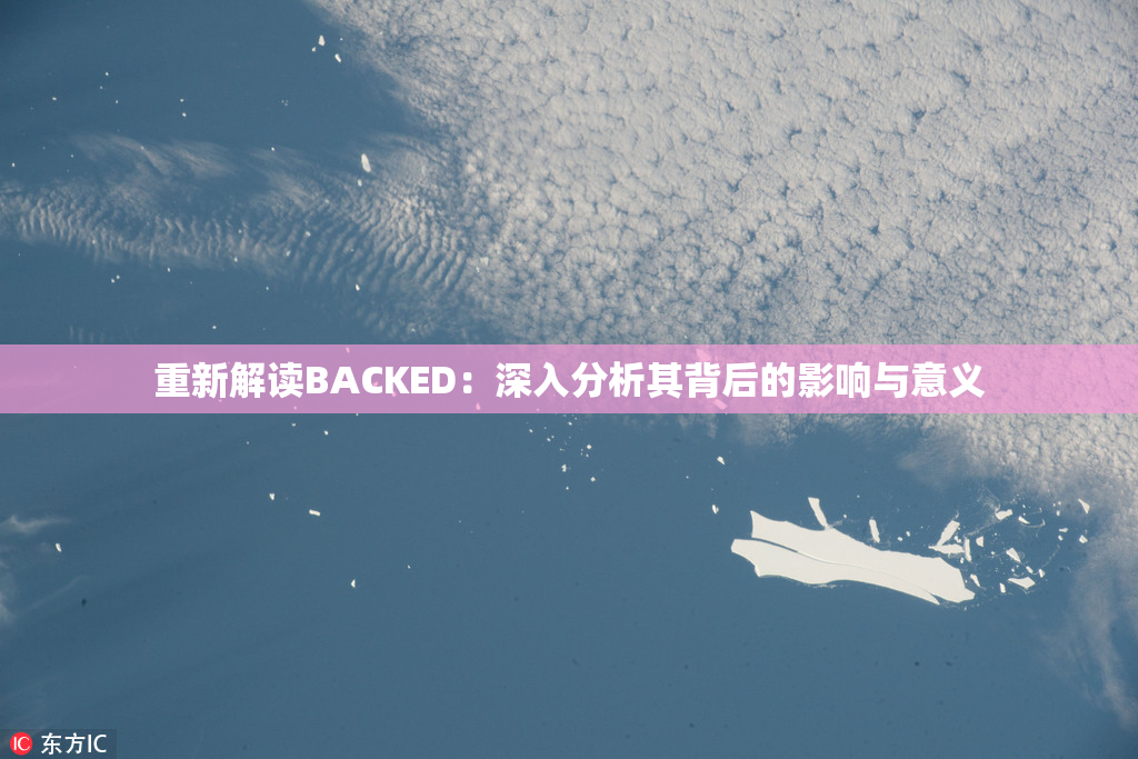重新解读BACKED：深入分析其背后的影响与意义