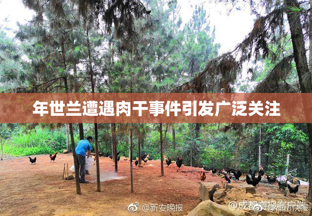 年世兰遭遇肉干事件引发广泛关注