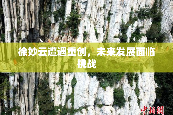 徐妙云遭遇重创，未来发展面临挑战