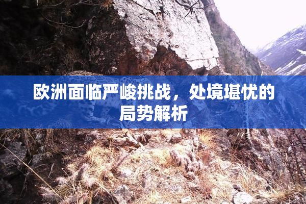 欧洲面临严峻挑战，处境堪忧的局势解析