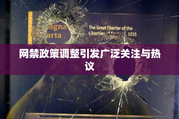网禁政策调整引发广泛关注与热议