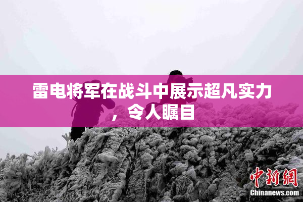 雷电将军在战斗中展示超凡实力，令人瞩目