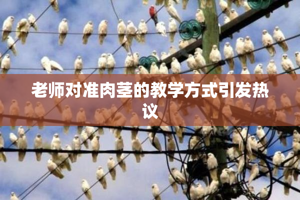 老师对准肉茎的教学方式引发热议