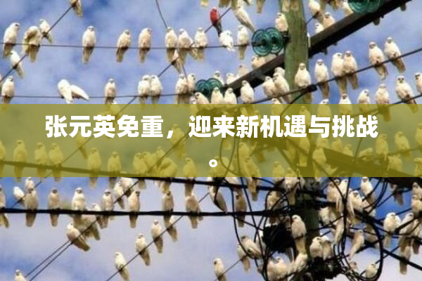 张元英免重，迎来新机遇与挑战。