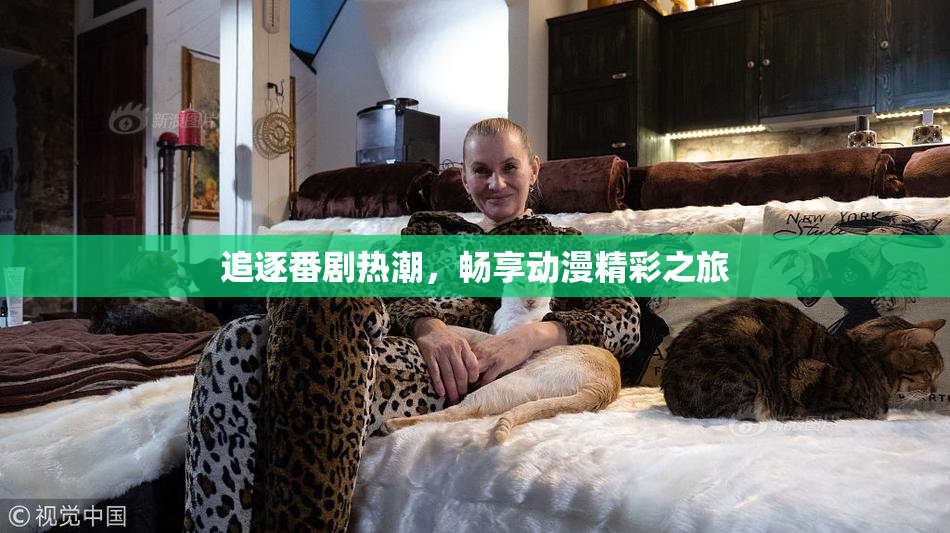 追逐番剧热潮，畅享动漫精彩之旅