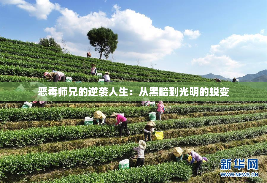 恶毒师兄的逆袭人生：从黑暗到光明的蜕变