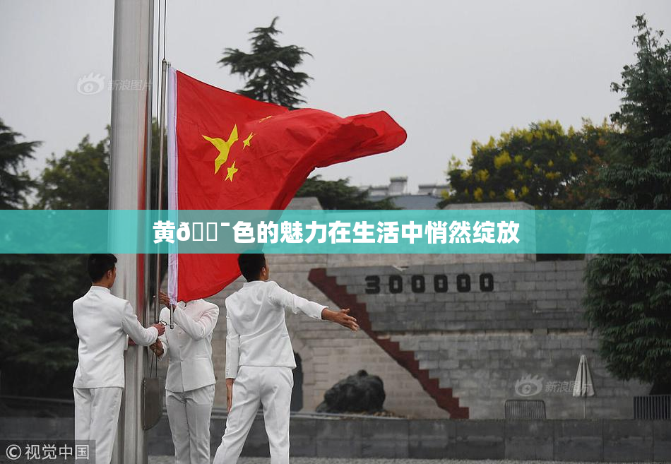 黄🔯色的魅力在生活中悄然绽放
