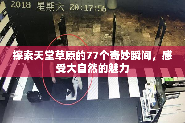 探索天堂草原的77个奇妙瞬间，感受大自然的魅力