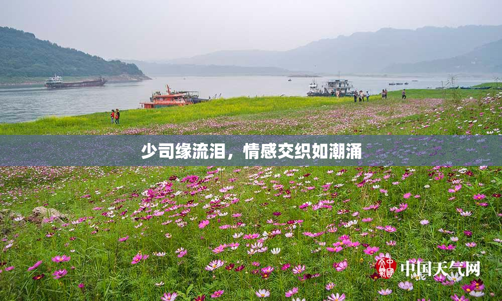 少司缘流泪，情感交织如潮涌