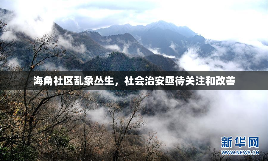 海角社区乱象丛生，社会治安亟待关注和改善