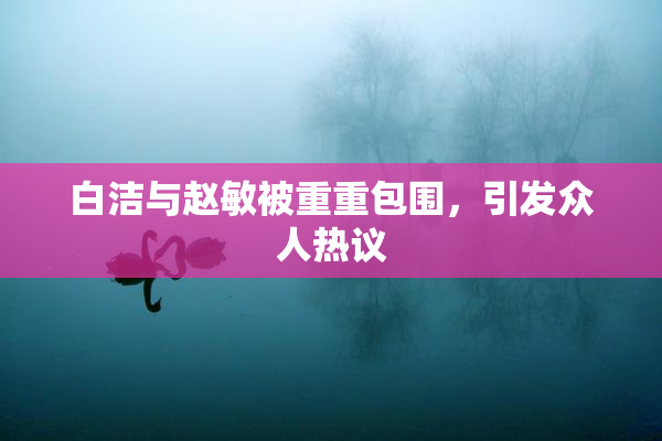 白洁与赵敏被重重包围，引发众人热议