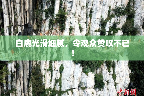 白鹿光滑细腻，令观众赞叹不已！