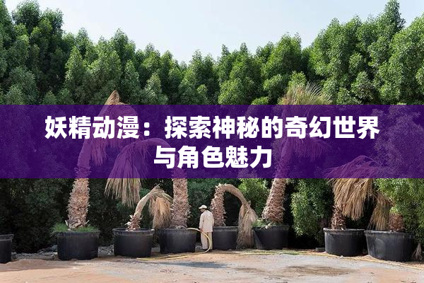 妖精动漫：探索神秘的奇幻世界与角色魅力