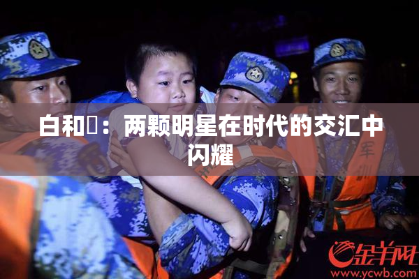白和晄：两颗明星在时代的交汇中闪耀