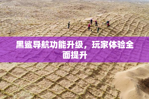 黑鲨导航功能升级，玩家体验全面提升