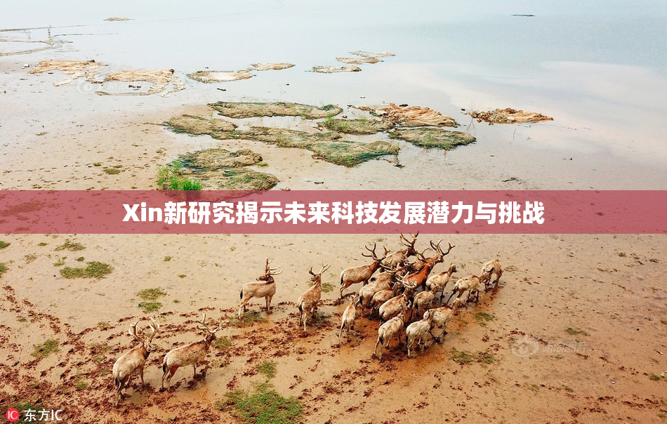 Xin新研究揭示未来科技发展潜力与挑战