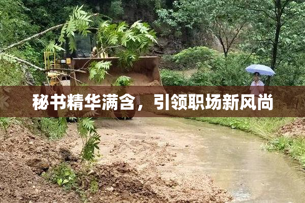 秘书精华满含，引领职场新风尚
