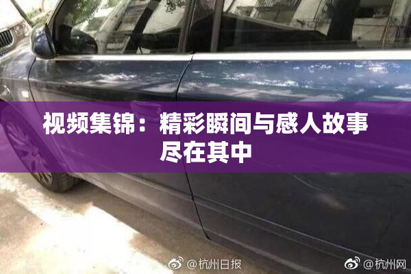 视频集锦：精彩瞬间与感人故事尽在其中
