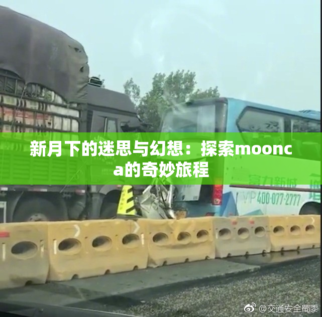 新月下的迷思与幻想：探索moonca的奇妙旅程