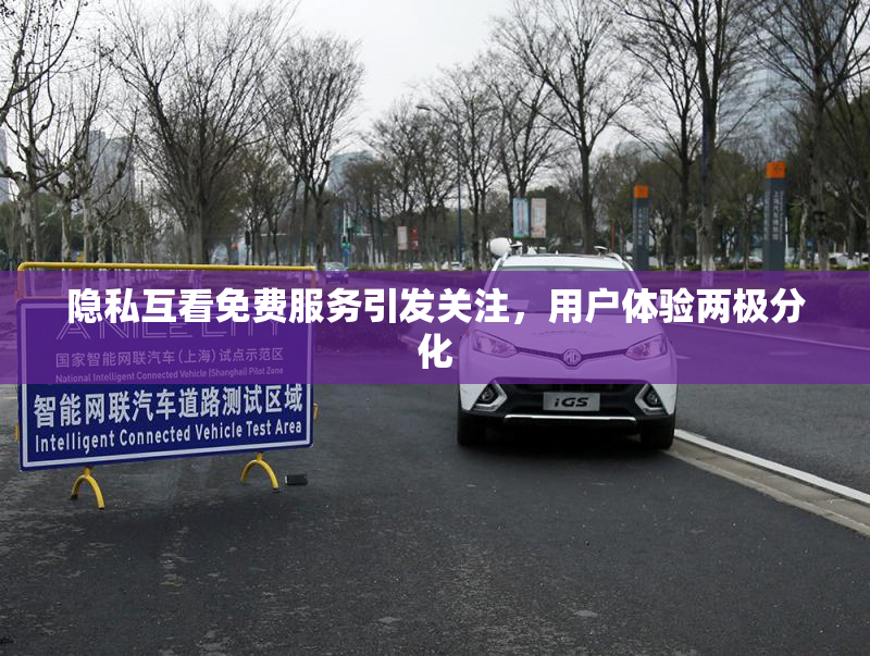 隐私互看免费服务引发关注，用户体验两极分化