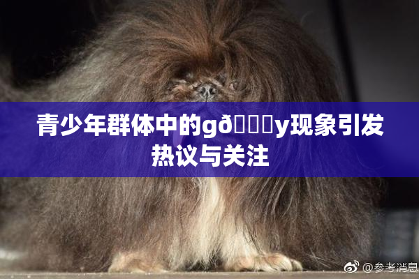 青少年群体中的g🈚y现象引发热议与关注