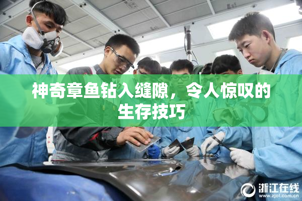 神奇章鱼钻入缝隙，令人惊叹的生存技巧